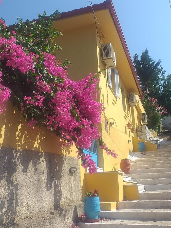 Villa Eleni Vathy  Exteriör bild